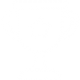 trophy trophy
